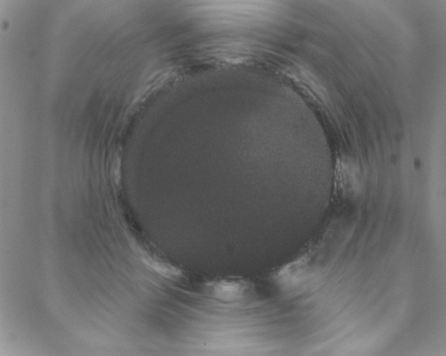 X0000088590412200705251154