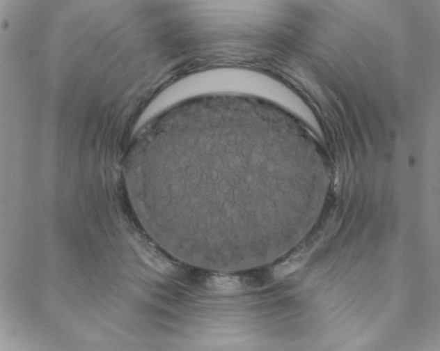 X0000088590413200705251154