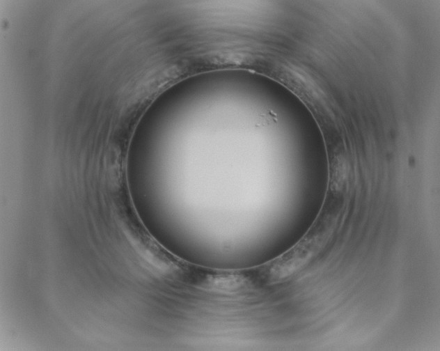 X0000088590414200705251154