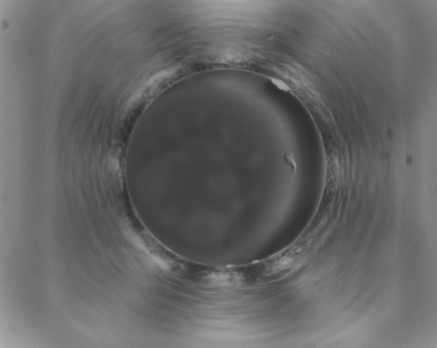 X0000088590415200705251154