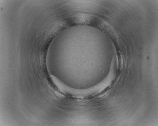 X0000088590416200705251154