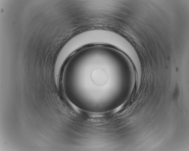 X0000088590417200705251154