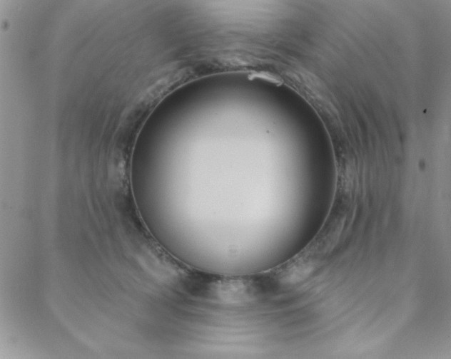 X0000088590418200705251154