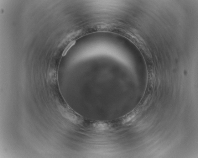 X0000088590419200705251154