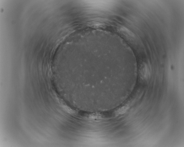 X0000088590420200705251154