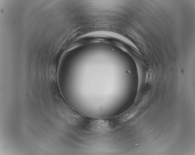 X0000088590421200705251154