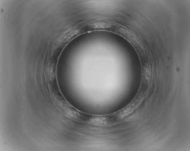 X0000088590422200705251154