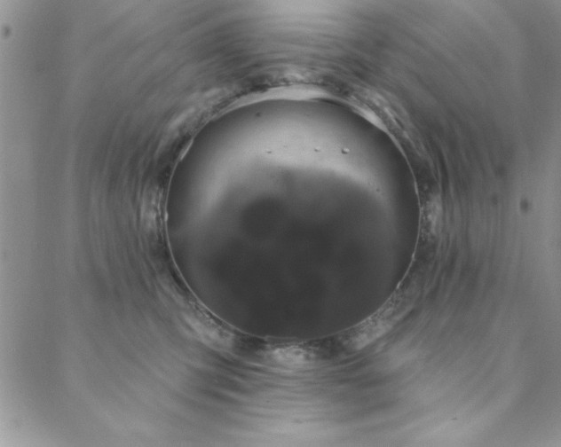 X0000088590423200705251154