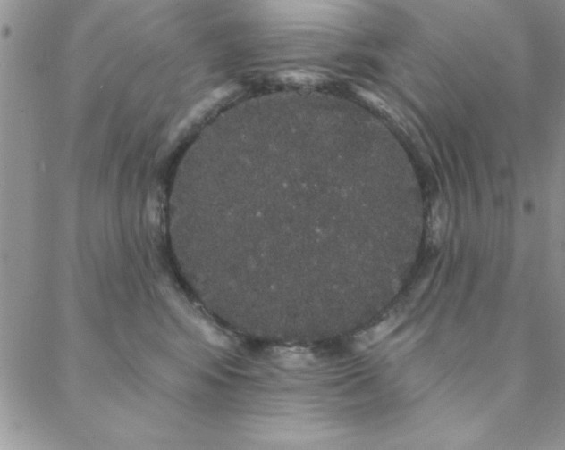 X0000088590424200705251154