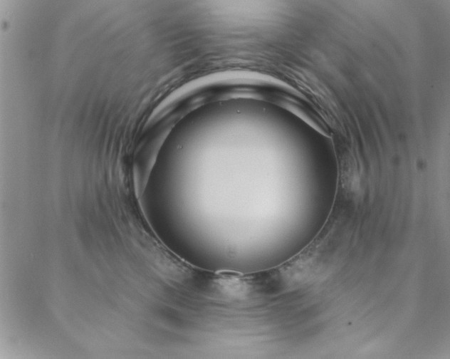 X0000088590425200705251154