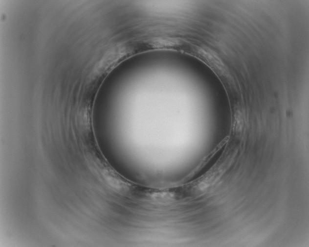 X0000088590426200705251154