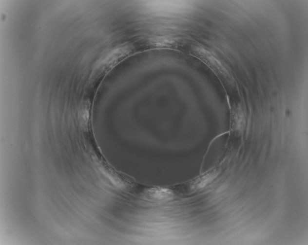 X0000088590427200705251154