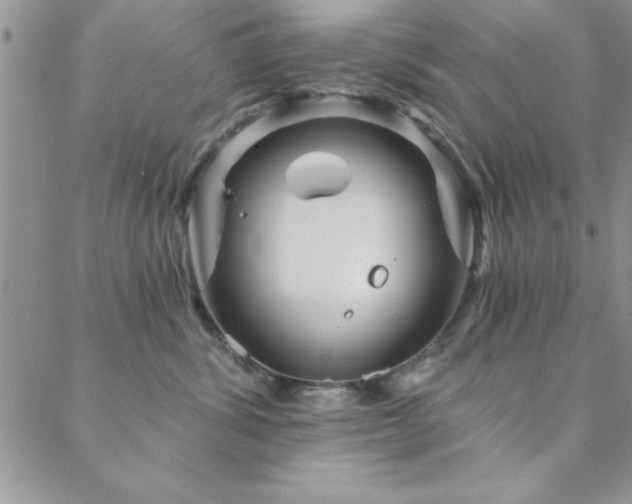 X0000088590428200705251154