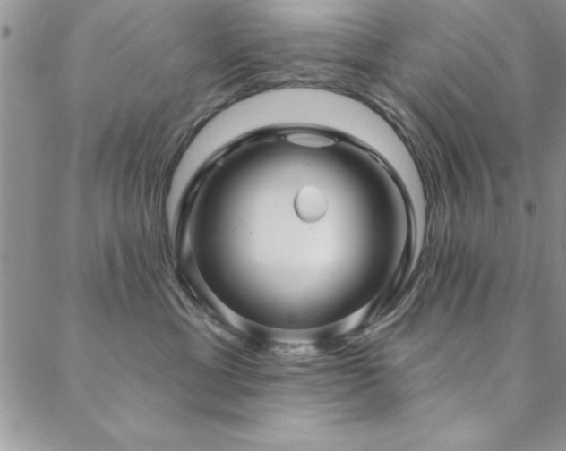 X0000088590429200705251154