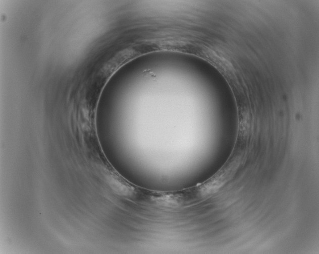 X0000088590430200705251154