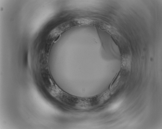 X0000088590431200705251154