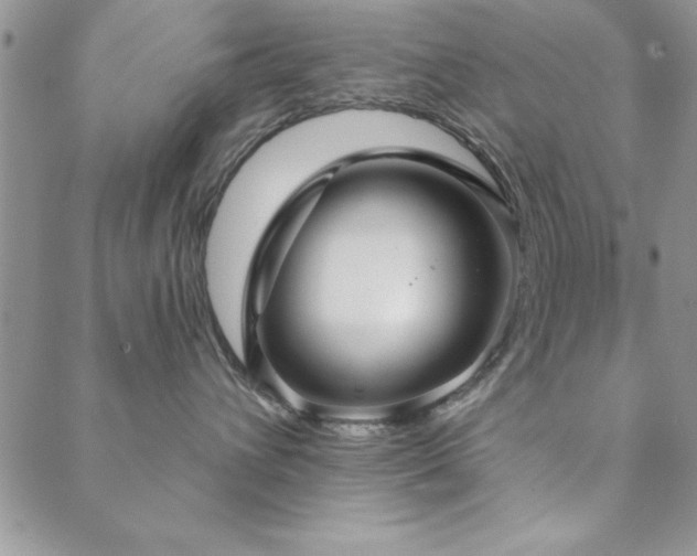 X0000088590432200705251154