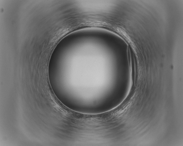 X0000088590433200705251153