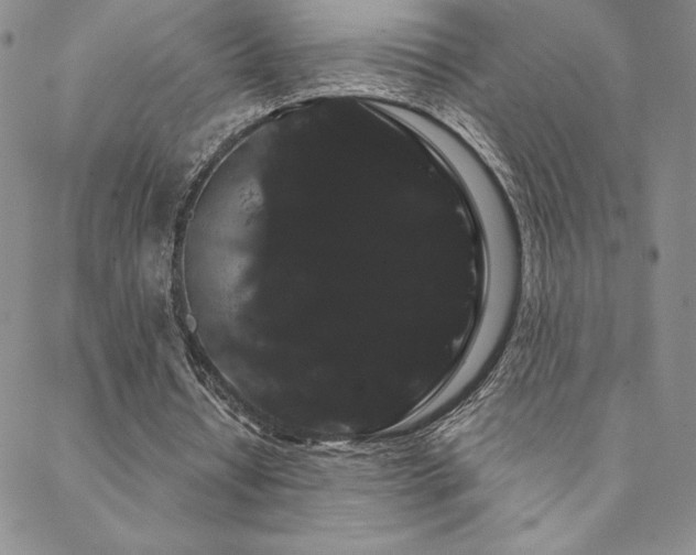 X0000088590434200705251153