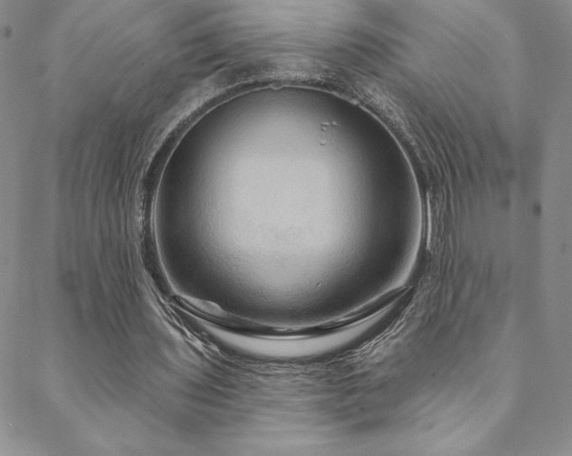 X0000088590435200705251153