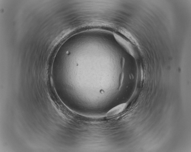 X0000088590436200705251153