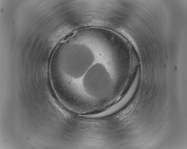 X0000088590437200705251153