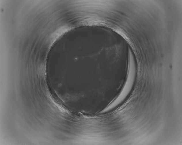 X0000088590438200705251153