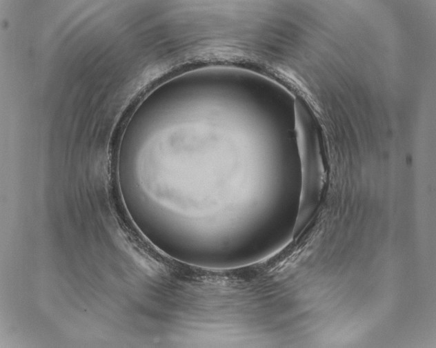 X0000088590439200705251153