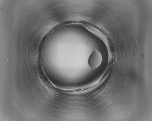 X0000088590440200705251153