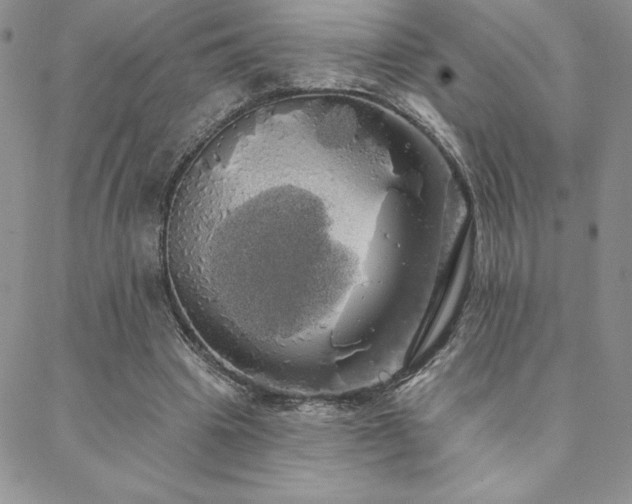 X0000088590441200705251153