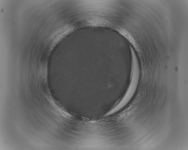 X0000088590442200705251153