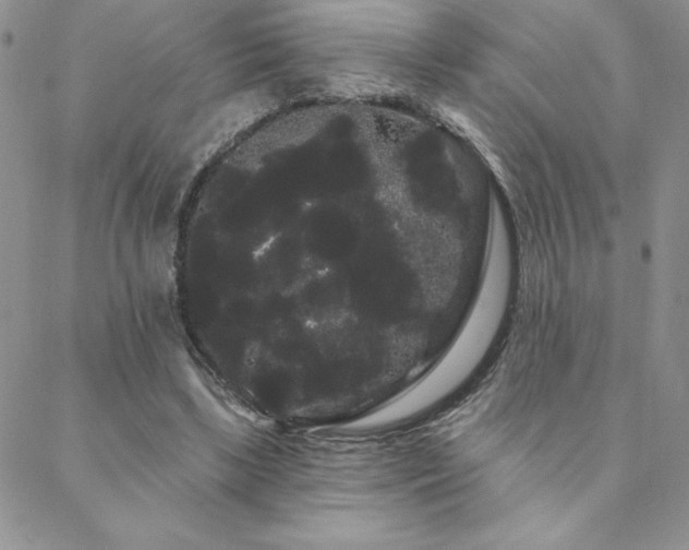 X0000088590443200705251153