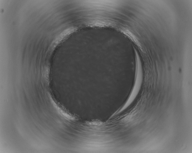 X0000088590444200705251153