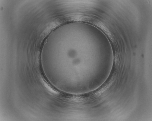 X0000088590445200705251153