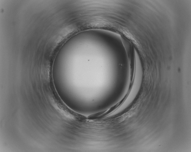 X0000088590446200705251153