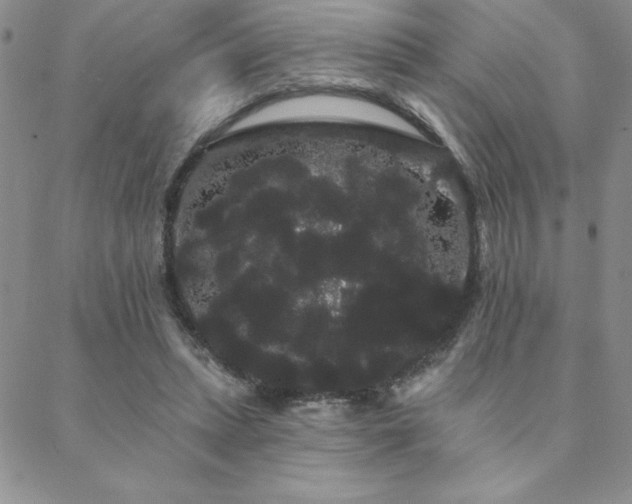 X0000088590447200705251153