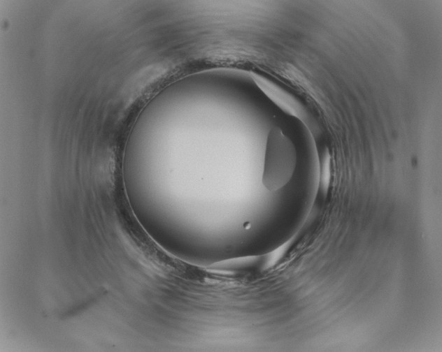 X0000088590448200705251153