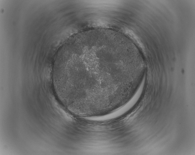 X0000088590449200705251153