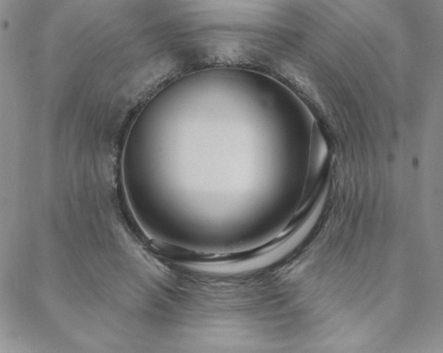 X0000088590450200705251153