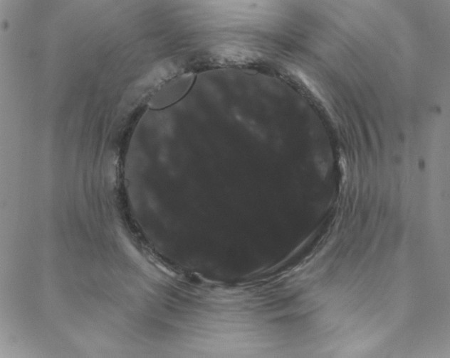 X0000088590451200705251153