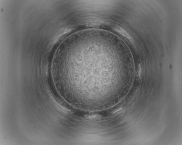 X0000088590452200705251153