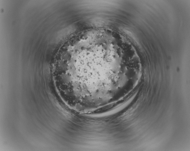 X0000088590453200705251153