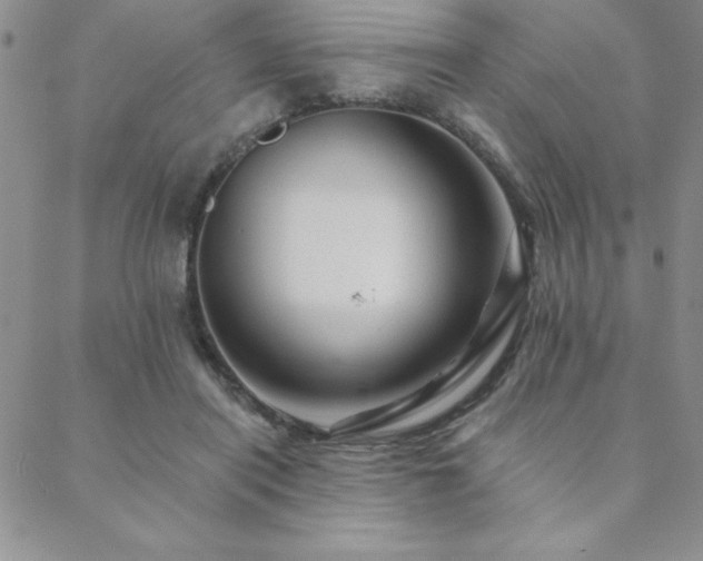 X0000088590454200705251153