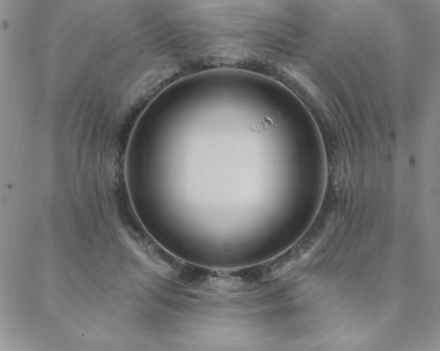 X0000088590455200705251153