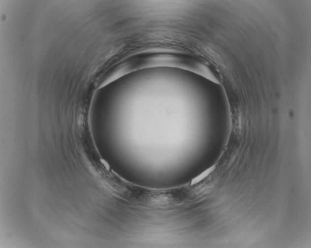 X0000088590456200705251153