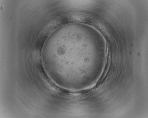 X0000088590457200705251153