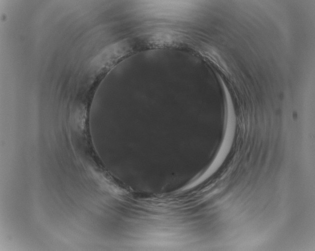 X0000088590458200705251153