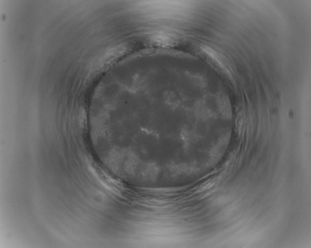 X0000088590459200705251153