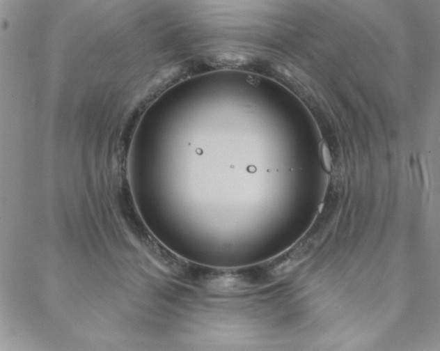 X0000088590460200705251153