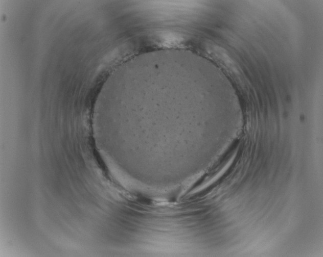 X0000088590461200705251153